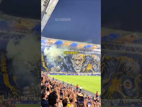 FENERBAHÇE ŞAMPİYONLAR LİGİ KOREOGRAFISI  😱🤯 #shorts #short #football