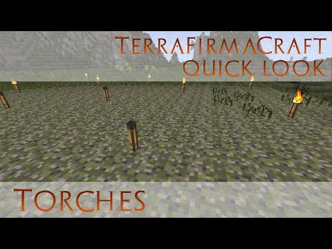 TerraFirmaCraft Quick Look - Torches - the Good, the Bad and the FIRE!  [build 79]