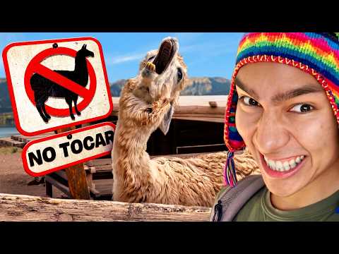 Visite el país de las LLAMAS y el pan con CHICHARRON | Fernanfloo