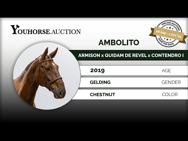 Ambolito homevideo