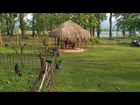 Shahryar enjoys what he loves most.. Amidst nature ❤