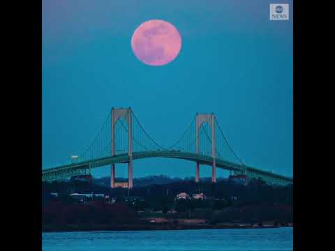 美國廣播公司（ABC）新聞報道：時間推移鏡頭顯示粉紅色的超級月亮在羅得島的橋上升起 (Timelapse footage shows pink supermoon rising over bridge in Rhode Island | ABC News)