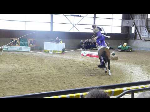 Juniorteam Pegasus Mühlacker Leonberg 2013