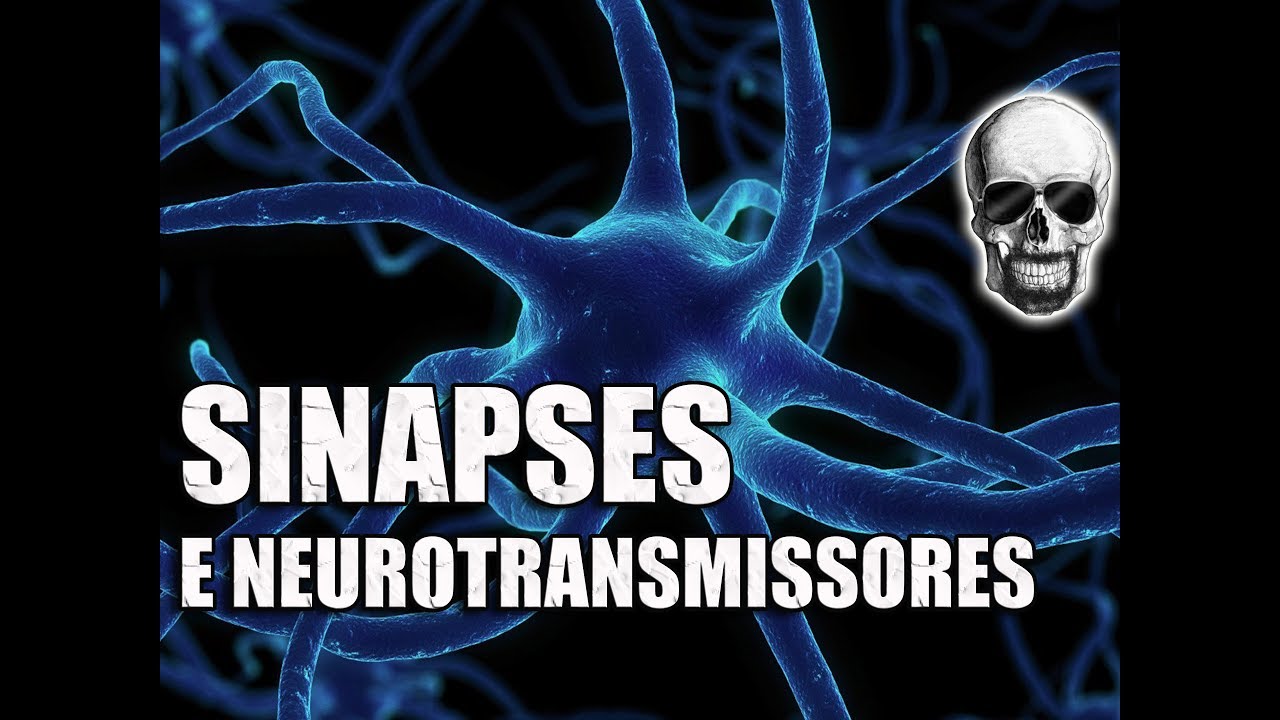 Animação - Neurônios, sinapse, contração muscular e movimento - Sistema Nervoso - Vídeo Aula 086