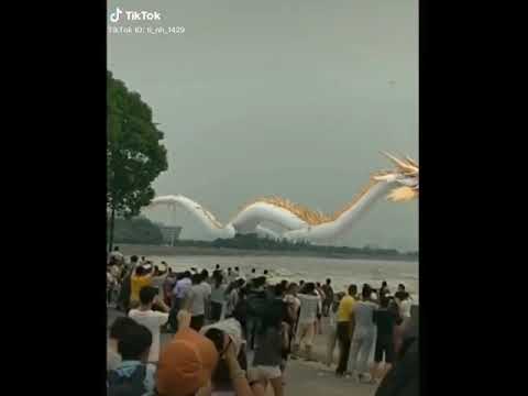 Real life Chinese Dragon found (tiktok). #shorts