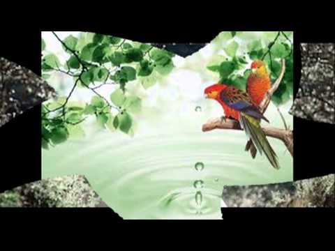 Thể hiện bởi Lâm Việt Hùng