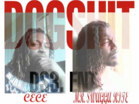CE SWAGG DOGSHIT DS3ENT- WHEN I GO IN PREVIEW
