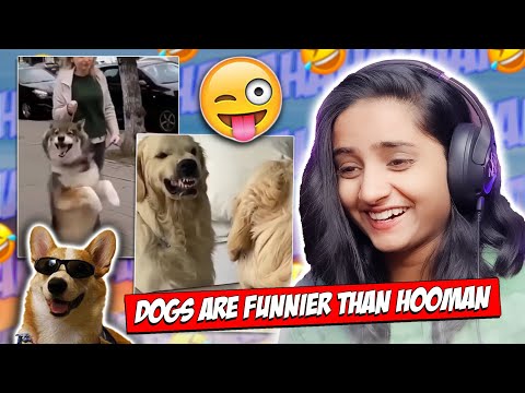 FUNNIEST DOGS EVER 😂| ANIMALS ARE FUNNIER THAN HUMAN...!!!🤣