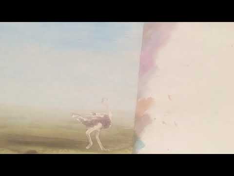 Ostrich Land (Metamorphosis)