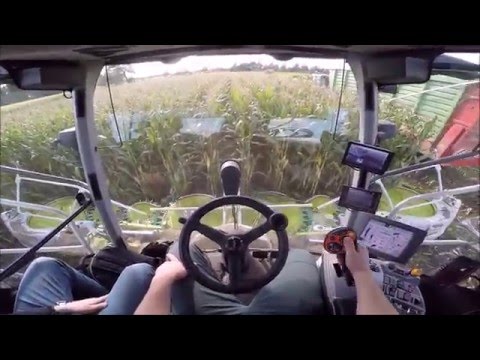 CLAAS JAGUAR 980 driving from the GoPro view *HD*