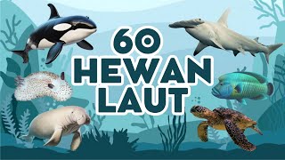 Download lagu 60 Sea Animals for Kids Education | Learn Sea Animal Names mp3