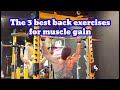 The 3 best back exercises for muscle gain