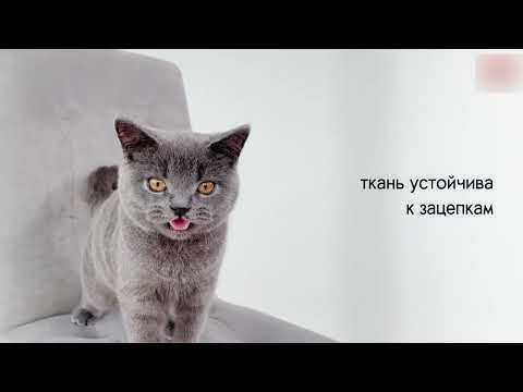 Обеденный стул Турин 2, пепельный (велюр)/черный в Новосибирске - видео 6