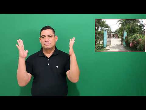 Miniatura do vídeo: Terreiro 139