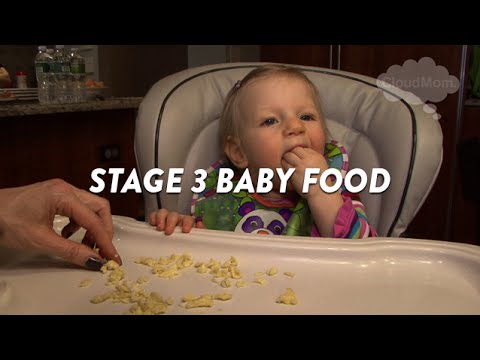 Stage 3 Baby Food | CloudMom