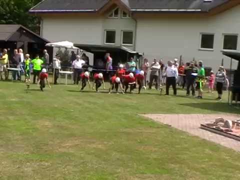 Pohár OSH Libštát 2016 - Veselá