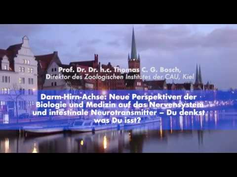 Du denkst was du isst - Darm-Hirn-Achse: Neue Perspektiven der Bio-Medizin auf das Nervensystem