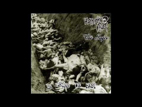 HARMONY FAULT - In Grind We Fast (split w/ Cü Sujo) (2008)