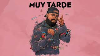 Muy Tarde Lyrics English Translation