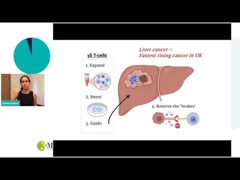 3MT 2020 UCL Winner Nekisa Zakeri