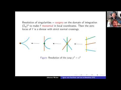 Johannes Nicaise. Igusa zeta functions and the non-archimedean SYZ fibration