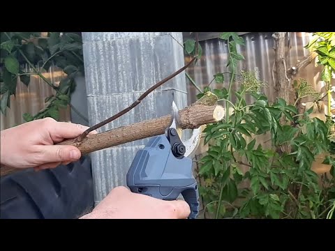 Graphite akumuliatorinis sekatorius 58G029 be akumuliatoraus ir kroviklio video