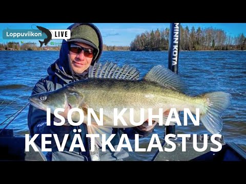 Suurkuhan kevätkalastus, ISO KUHA | Loppuviikon LivE