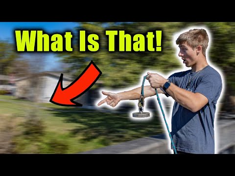 Rare Sighting While Magnet Fishing