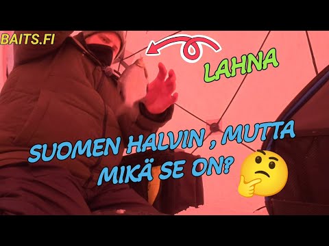 Taivas varjele mikä sieltä tulee!!#pilkkiminen#ahven#talvikalastus#made#särki#morri#suomi