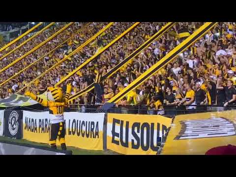 TORCIDA INSANA - Outra vez na primeira o Tigre estará!