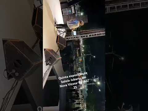 Quinta exposição da baleia Jubarte em Nova Vicosa Bahia, Out/25