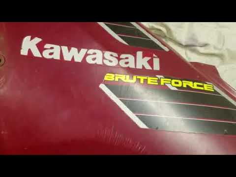Brute Force 750 Piston cylinder and head installation