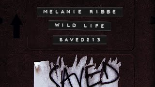 Melanie Ribbe - Wild Life (Extended Mix) video