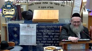 הרב יהושע ויזגן מסכת חולין דף סח עמוד א' (בית הכנסת מוסאיוף) - התמונה מוצגת ישירות מתוך אתר האינטרנט יוטיוב. זכויות היוצרים בתמונה שייכות ליוצרה. קישור קרדיט למקור התוכן נמצא בתוך דף הסרטון