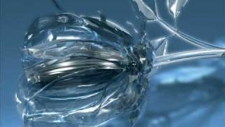 carbon based lifeforms - hydroponic garden