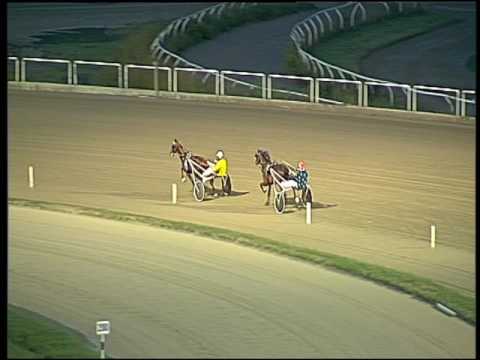 Trotto 18/09/2016 - 2ª prova di qualifica