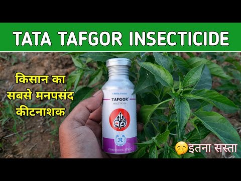 Tata Tafgor Insecticide, Dimethoate 30% Ec, 250 ml