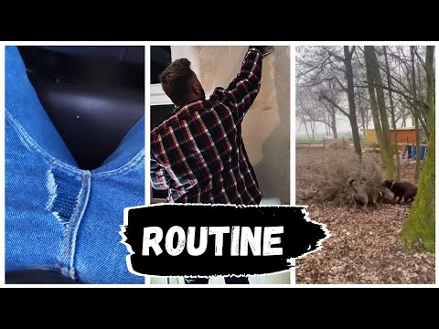 Udo vom Hund Gebissen 😱 | Wilke.Zierden Instagram Story vom 21.01.2022