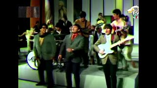 The Turtles -  Outside Chance  (re-mastered audio)(1966)