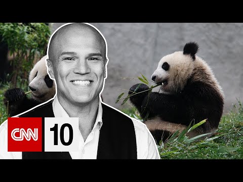 美國國會避免政府關門、颶風海倫襲擊佛羅裡達州、一對大熊貓抵達香港 | 2024 年 9 月 27 日 (Panda Pair Arrive in Hong Kong | September 27, 2024)