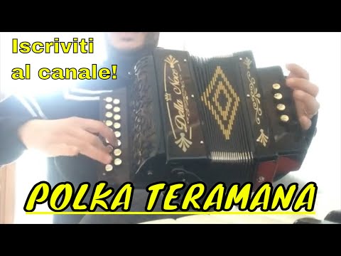POLKA TERAMANA Organetto 17 tasti 4 bassi Della Noce