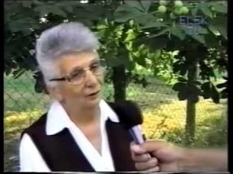 Elek Brazíliai gyógyulás, három esti előadás