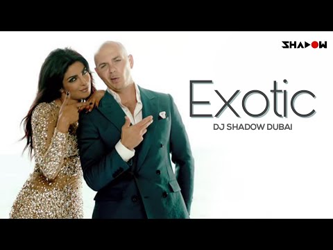 Exotic | Priyanka Chopra Ft Pitbull | DJ Shadow Dubai Remix