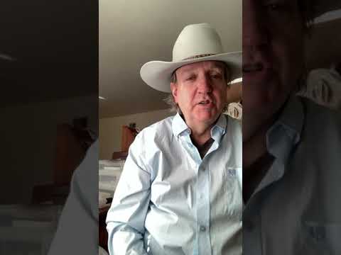 Videos from TechnBrains