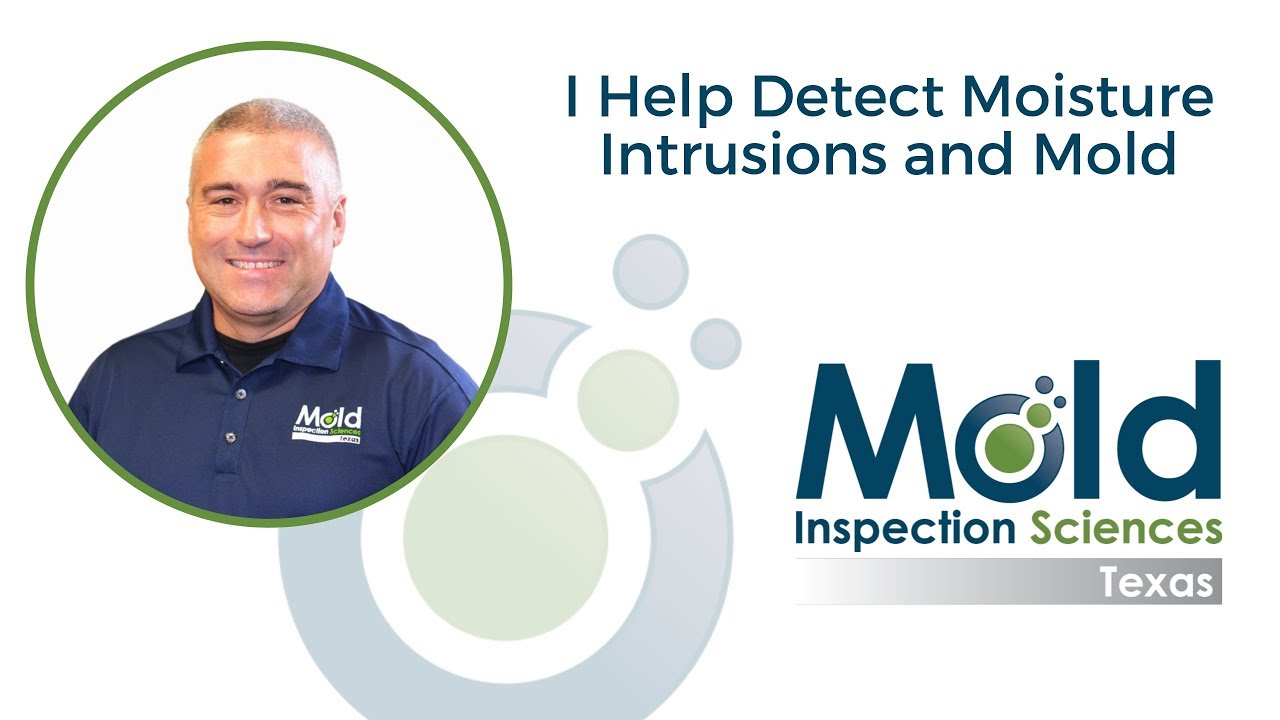 I Help Detect Moisture Intrusion and Mold