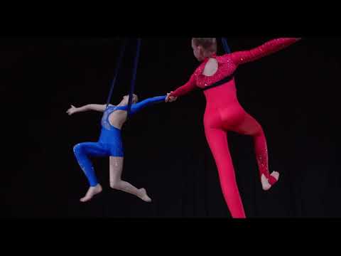 Duo Aerial Straps