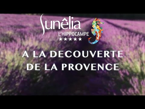 Camping Sunêlia l'Hippocampe