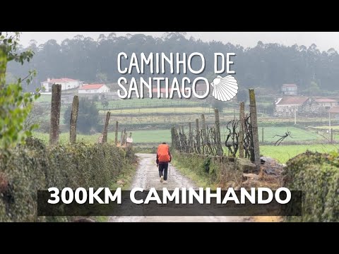 Caminho de Santiago de Compostela | 300km a pé | Caminho Central Português - Documentário Completo