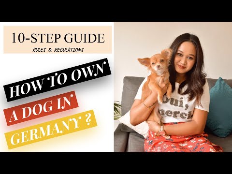 🐶 HOW TO OWN A DOG IN GERMANY? l 10-STEP GUIDE l RULES & REGULATIONS l GERMANY 🐶