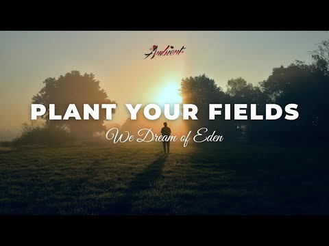 We Dream of Eden - Plant Your Fields [relaxing cinematic ambient]